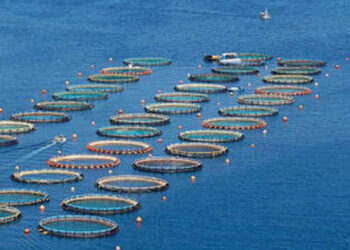 pesci allevamento Grecia