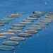 pesci allevamento Grecia