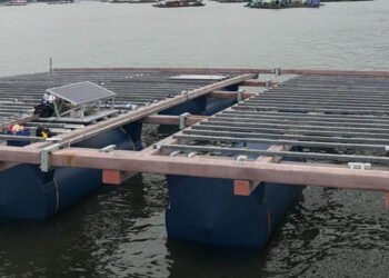 Allevamento molluschi acque aperte