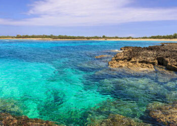 Aree Marine Protette