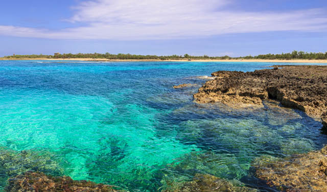 Aree Marine Protette