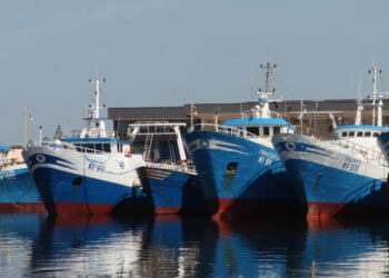 UE, revisione della gestione della pesca: meno sovrasfruttamento ma necessari sforzi