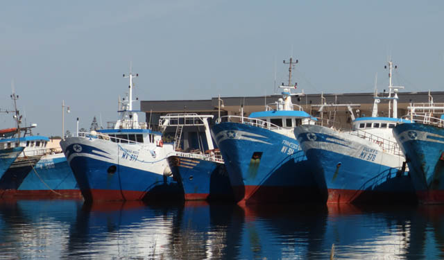 UE, revisione della gestione della pesca: meno sovrasfruttamento ma necessari sforzi