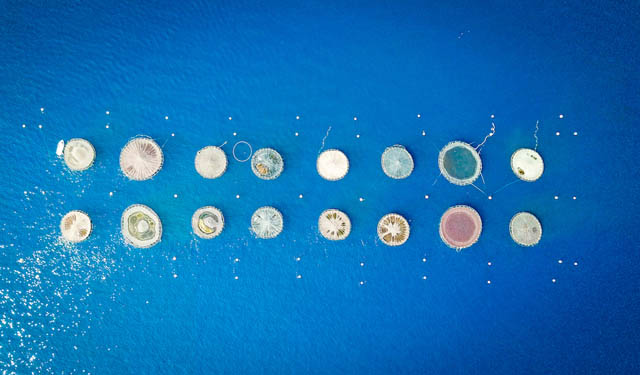 Giornata mondiale sicurezza sanitaria alimenti