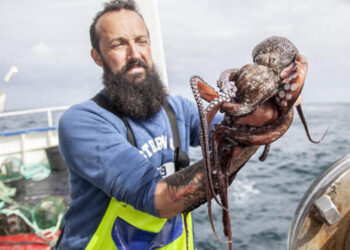 MSC pesca sostenibile