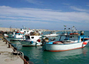 Pesca emendamenti Lega