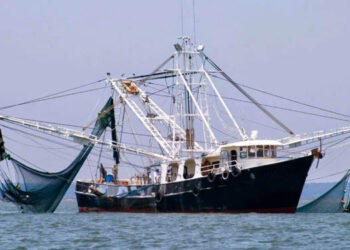 Regolamento controllo pesca