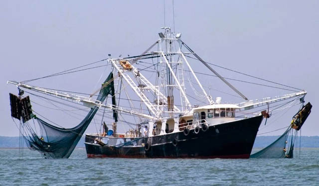 Regolamento controllo pesca