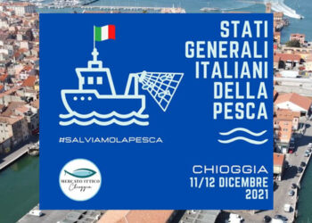 Stati generali della pesca