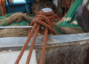 Tagli giornate pesca