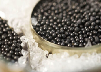 bracconaggio storione