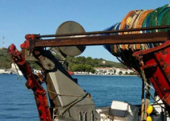 crescita biomassa pesci demersali