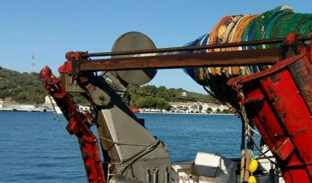 crescita biomassa pesci demersali