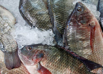 offerta globale pesce bianco