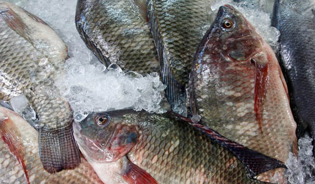 offerta globale pesce bianco