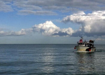 pesca italiana turismo ristorazione