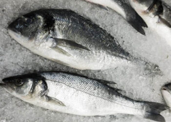 prezzi orate spigole