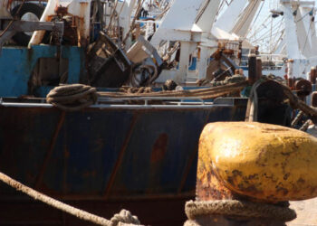 protesta della pesca