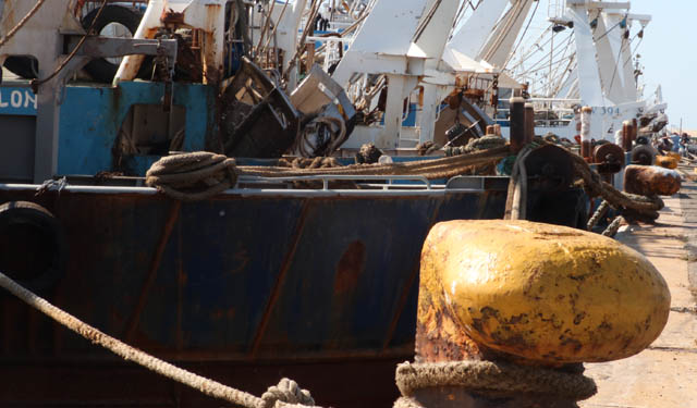 protesta della pesca