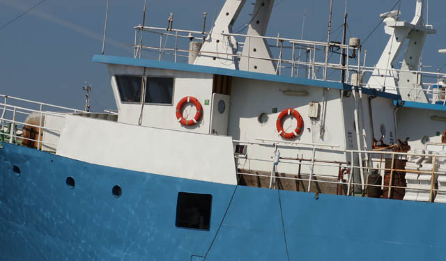 ricerca universitaria