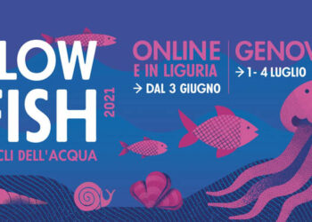 slow fish 2021