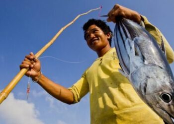 Tonno dell’Oceano Pacifico