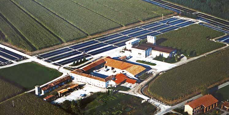 La Fattoria del Pesce