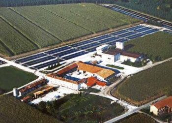 La Fattoria del Pesce