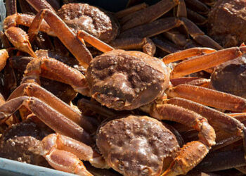 Norvegia esportazioni pesce