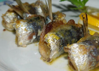 Oceanus Ricetta per Salvare il Mare