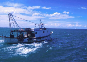 accordo pesca UE Mauritania