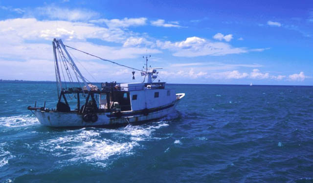 accordo pesca UE Mauritania