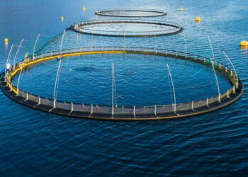 acquacoltura globale