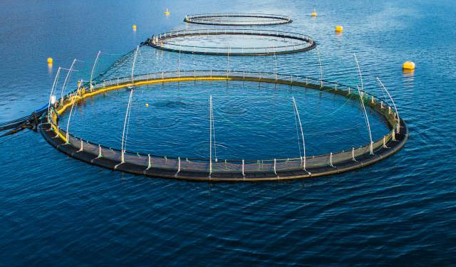 acquacoltura globale