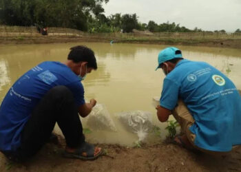 acquacoltura piccola scala Myanmar