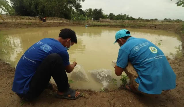 acquacoltura piccola scala Myanmar