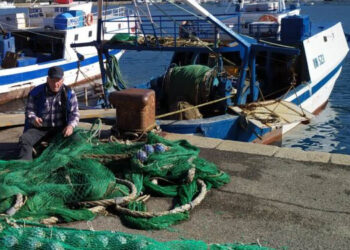 canoni demaniali marittimi