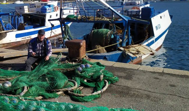 canoni demaniali marittimi