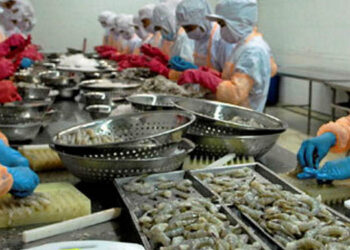 importazioni pesce Vietnam