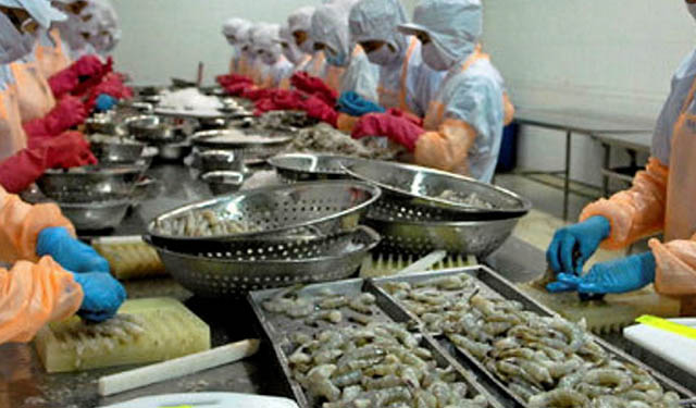 importazioni pesce Vietnam