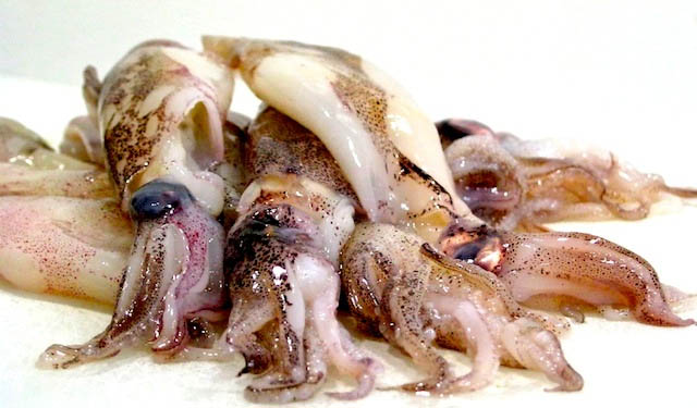 industria mondiale calamari