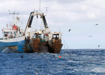 La Giunta regionale pugliese stanzia 3 mln per il comparto ittico