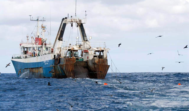 La Giunta regionale pugliese stanzia 3 mln per il comparto ittico