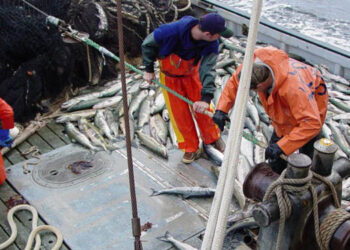 salario pescatori UE