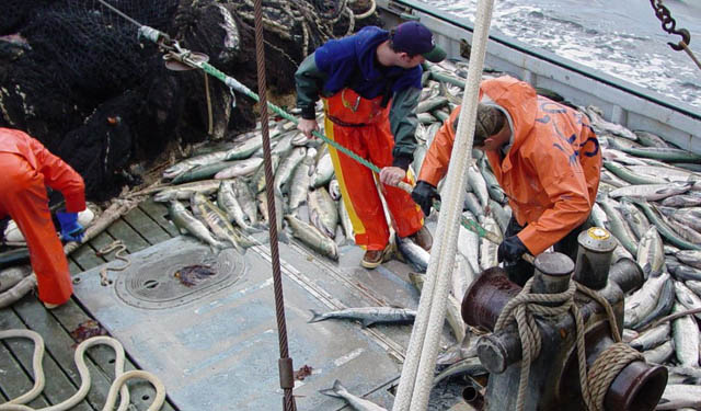salario pescatori UE