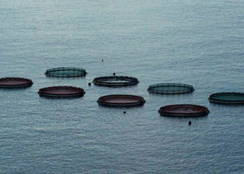 Nuovo centro di formazione per l'acquacoltura in Turchia