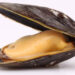 Cozze dai distributori automatici
