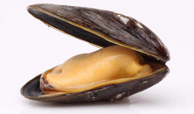 Cozze dai distributori automatici