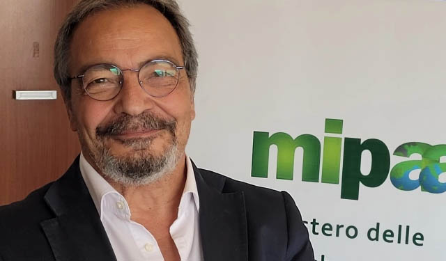 Gambero rosso e viola