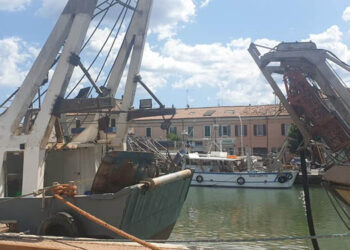 nuova deroga vongole